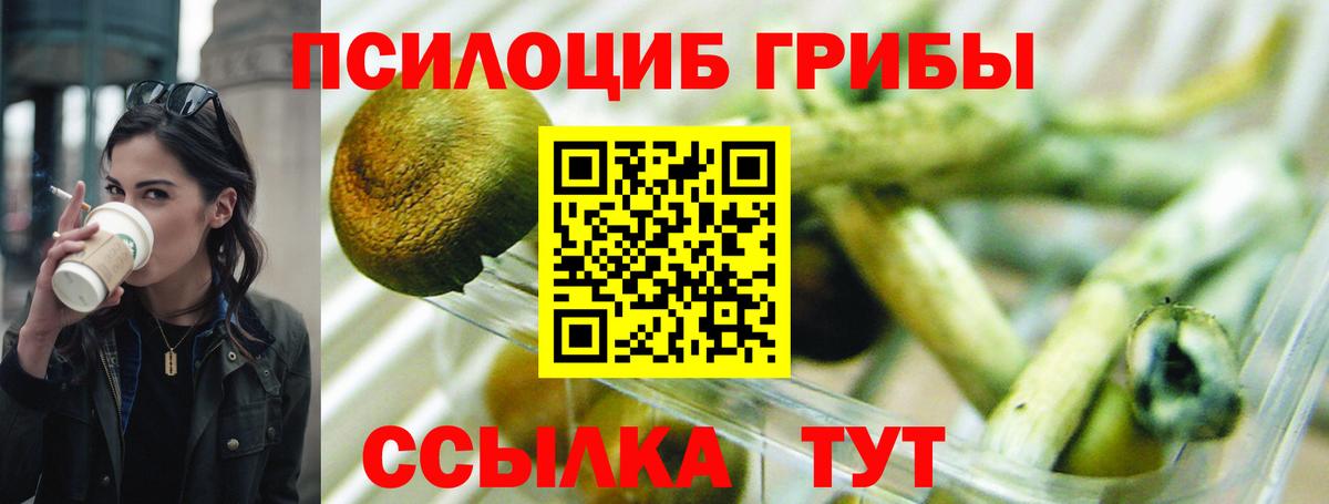 наркота  Галлюциногенные грибы мицелий  Вход с VPN  Псилоцибиновые грибы GOLDEN TEACHER  Реутов 